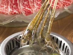 -尚海豆捞(乐虹坊店)