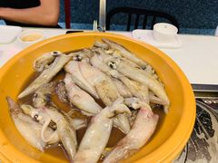 -龍歌自助小火锅(李沧丽达店)