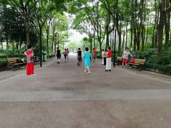 -苏州河梦清园环保主题公园