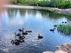 -长春世界雕塑园冰雪艺术天地