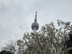 -龟山风景区-龟山电视塔