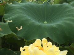 -乌石村