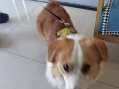 -美联众合24小时·皮肤科·外科·全科诊疗中心(华苑分院)