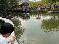 -星湖旅游景区七星岩