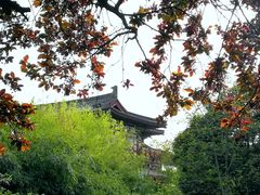 -西安青龙寺遗址景区