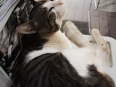 大堂-UNI UNI(环亚凯瑟琳店)