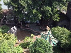 iphone_upload_pic-东莞市可园博物馆