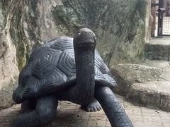 -东芭乐园