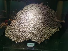 -天津自然博物馆