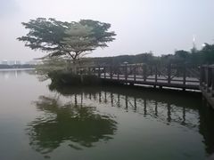 -海珠湖公园