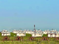 -呼伦贝尔大草原巴尔虎蒙古部落民俗旅游度假景区