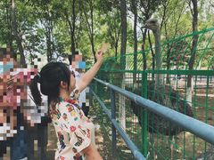 -长白岛森林公园