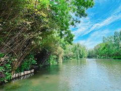 -溱湖国家湿地公园