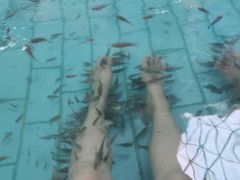 -天山海世界·米立方