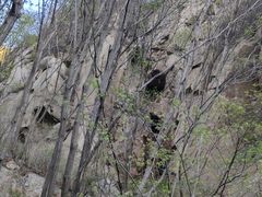-大岭沟猕猴桃谷风景区