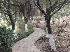 -重庆平顶山公园