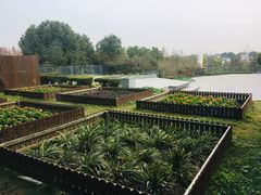 -太阳岛度假酒店