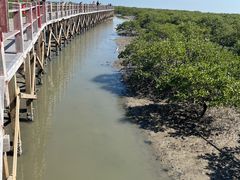 -北海金海湾红树林生态旅游区