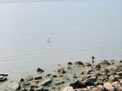 -深圳湾公园(南山区)