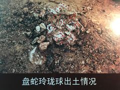-鸿山遗址博物馆
