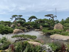 -罗红摄影艺术馆