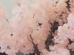 -汤里来温泉