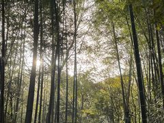 -燕子河大峡谷天坑仙境