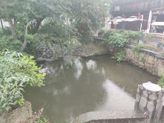 -江南第一家