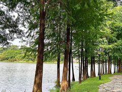 -东莞植物园