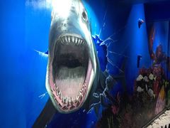 -船奇蒸汽海鲜·闽菜(八市海鲜总店)