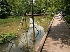 -云溪植物园