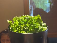 -九田家黑牛烤肉料理(华侨城店)