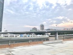 -演武大桥观景平台