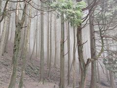 -含鄱口