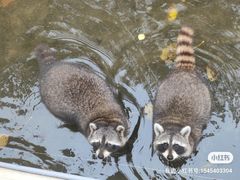 -北京野生动物园