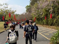 -南沙蒲洲花园