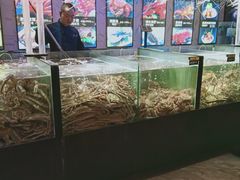 水产区-蟹之国·精品蟹料理(极地店)