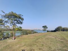 -盘龙城国家考古遗址公园