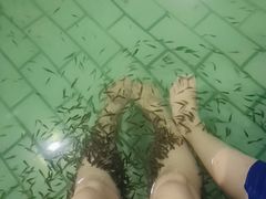 -天山海世界·米立方