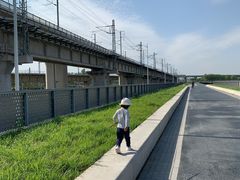-丁香湖公园