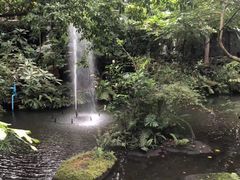 -绿光森林餐厅