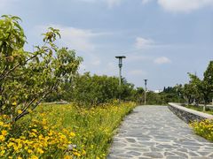 -桃花岛公园