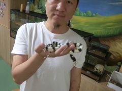 -藦茜花园宠物主题亲子互动体验馆(国顺东路店)