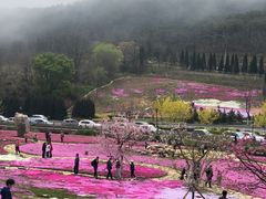 -棒棰岛宾馆景区