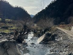 -狮子沟牧场