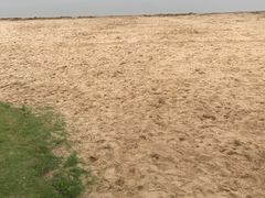 -柳湖沙月沙滩公园