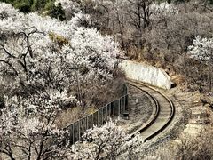 -居庸关长城-2号停车场