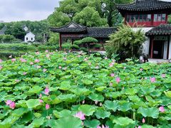 -南园(太仓市)