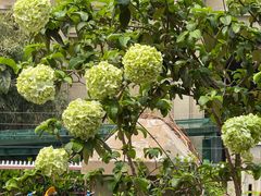 -T-COFFEE(长江花园店)