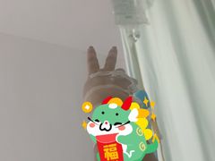 -上海市普陀区中心医院